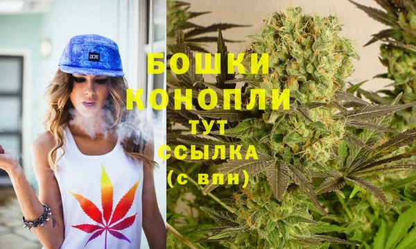 PSILOCYBIN Горнозаводск