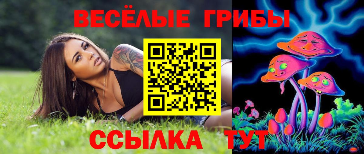 что такое наркотик  Асино  Псилоцибиновые грибы MAGIC MUSHROOMS 