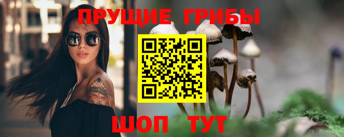 Асино  где продают   Псилоцибиновые грибы ЛСД  Вход с VPN  Галлюциногенные грибы MAGIC MUSHROOMS 