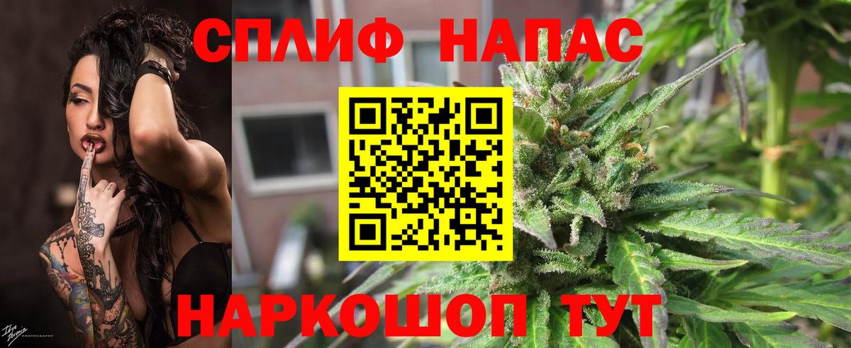 Конопля конопля Асино